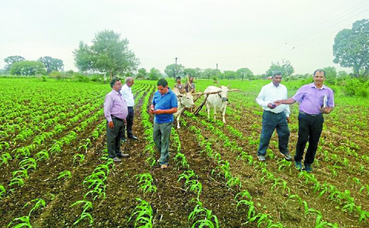 Chhindwara देशभर के वैज्ञानिक जुटे इस संकट के समाधान के लिए, जानिए क्या है मामला