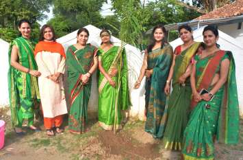Useful and important for environmental and beauty plantation पर्यावरण और सौन्दर्यीकरण के लिए उपयोगी और महत्वपूर्ण है वृक्षारोपण