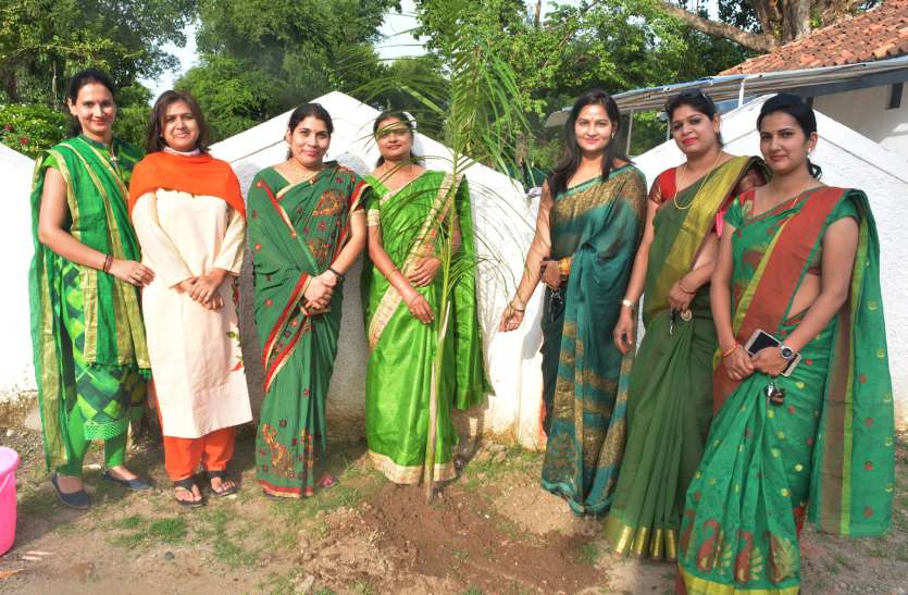 Useful and important for environmental and beauty plantation पर्यावरण और सौन्दर्यीकरण के लिए उपयोगी और महत्वपूर्ण है वृक्षारोपण