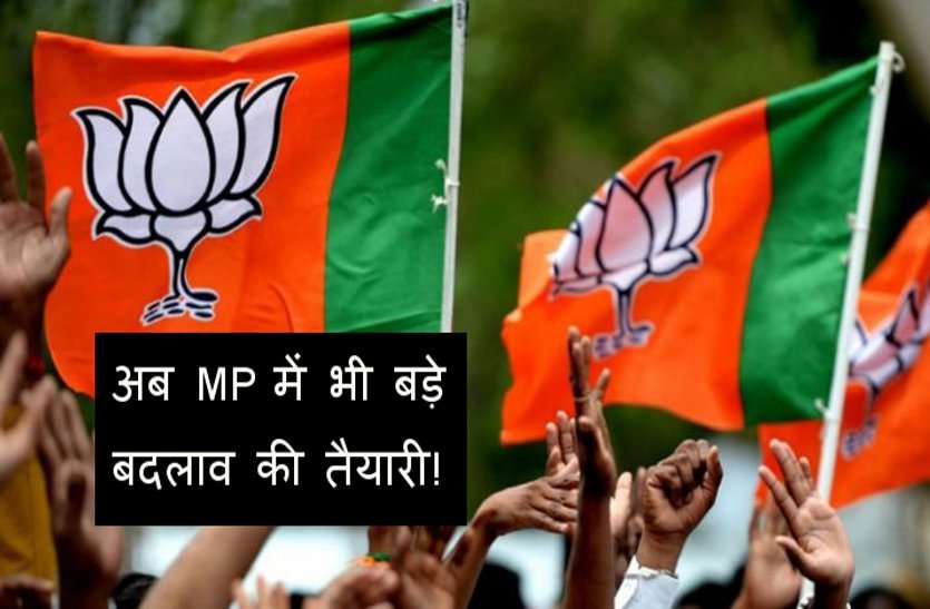 BJP MP BJP भाजपा में इन पर बड़े नेताओं पर गिर सकती है गाज! मचा हड़कंप