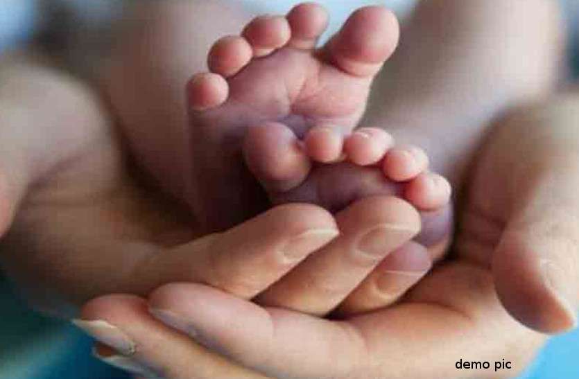 bay ये कैसी ममता: 9 माह कोख में रखा, एक साल पाला-पोसा और मरते ही कचरे में फेंक गए रानी को