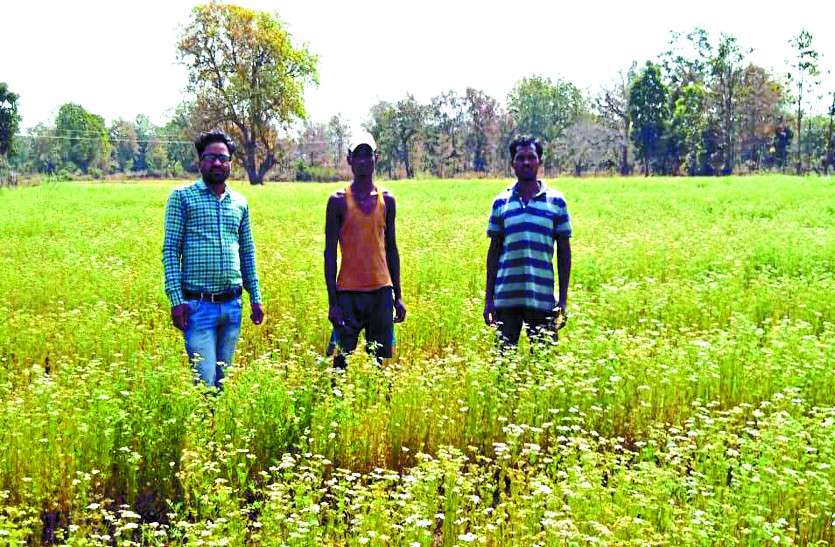 success story of Farmer