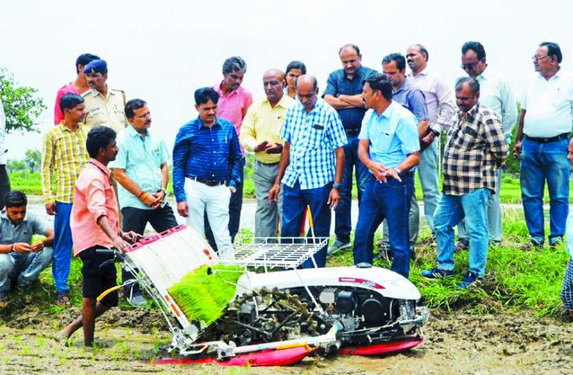 Put Paddy पैडी ट्रांसप्लांटर से एक साथ आठ कतार में धान लगाएं, आमदनी 40 प्रतिशत तक बढ़ाएं