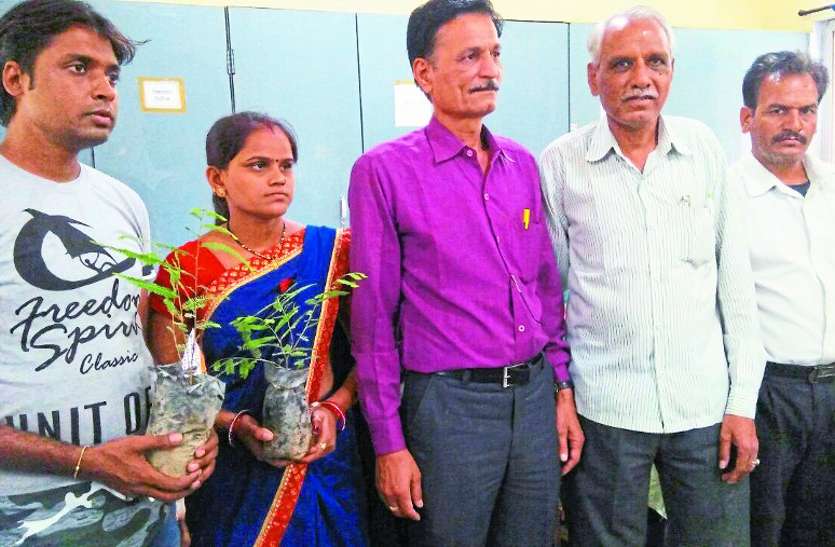 lok adalt Lok adalt: जरा सी कोशिश ने उजडऩे से बचाए कई परिवार
