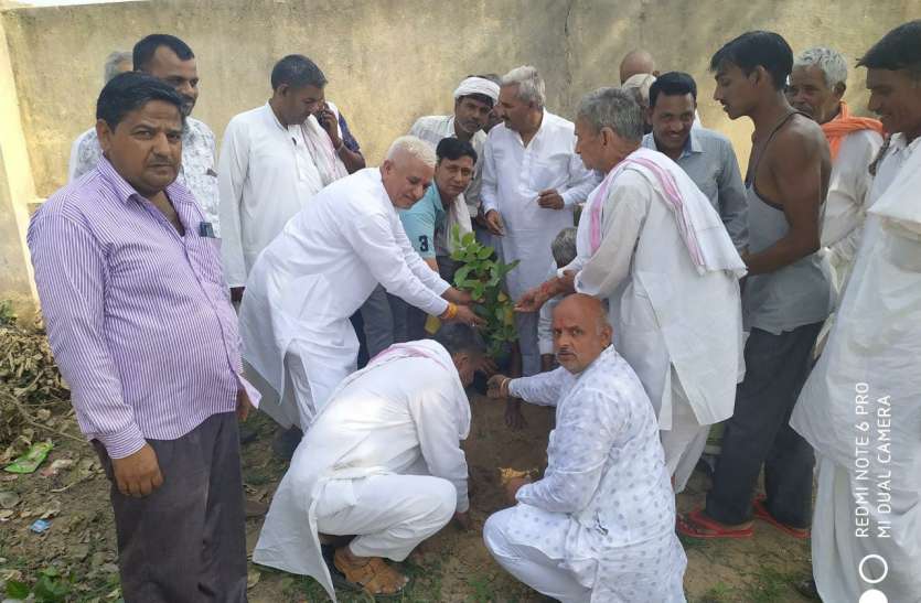 Plants planted in Mokshadham before funeral in bhilwara अंतिम संस्कार से पहले मोक्षधाम में लगाए पौधे