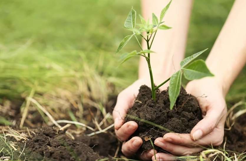 Cake cutting celebrated tree birthday and Planting trees केक काटकर मनाया पुराने वृक्षों का जन्मदिन, फिर किया 100 नए वृक्षों का रोपण