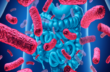 Probiotic is the safety cover of health Probiotic Bacteria: सेहत का सुरक्षा कवच है प्रोबायोटिक, जानें इनके बारे में