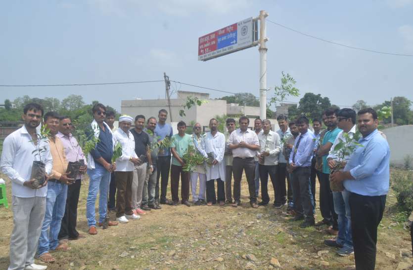 rewa पत्रिका हरित प्रदेश अभियान : पौधे लगाने वालों के लिए बड़ी राहत, निगम देगा यह लाभ