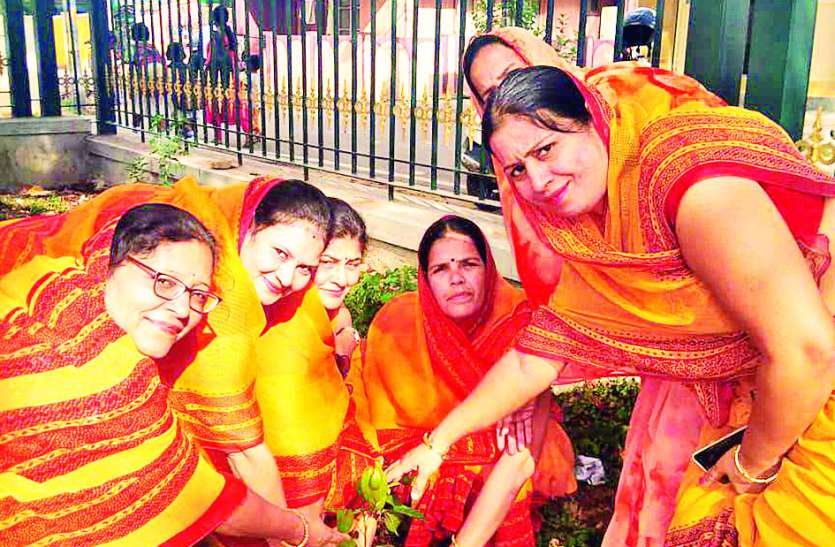 patrika Harit pradesh पौधे लगा कर पर्यावरण संरक्षण का संकल्प