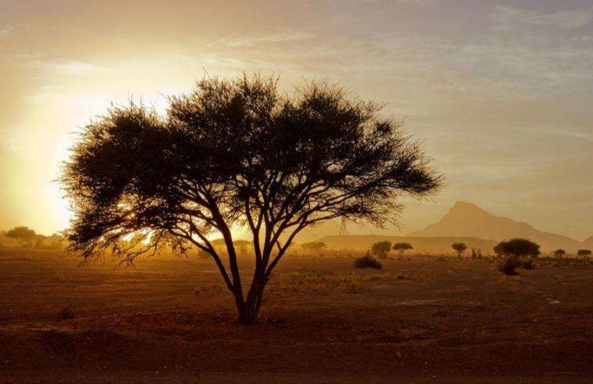 africa