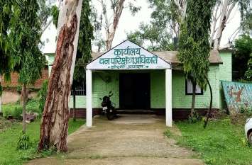 Forest workers beat tribals, did not take action despite complaint वन कर्मियों ने आदिवासियों को पीटा, शिकायत के बाद भी नहीं हुई कार्रवाई
