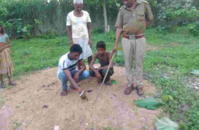 Pratapgarh धरियावद में फिर से आबादी बस्ती में पैंथर, किया मवेशियों का शिकार