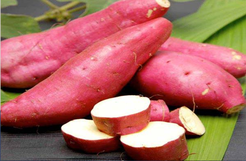 sweet-potato-keeps-the-nervous-system-active Sweet potato: तंत्रिका तंत्र सक्रिय रखती है शकरकंद, जानें इसके अन्य फायदे