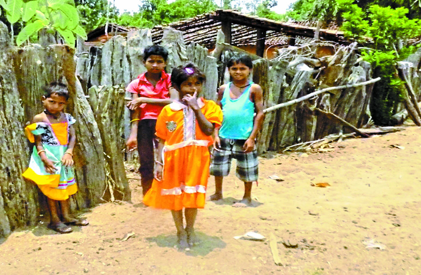 Kamar children are not getting primary education in Chhattisgarh 10 साल से प्रारंभिक शिक्षा से वंचित हैं छत्तीसगढ़ के ये कमार बच्चे, सरकार नहीं दे रही ध्यान