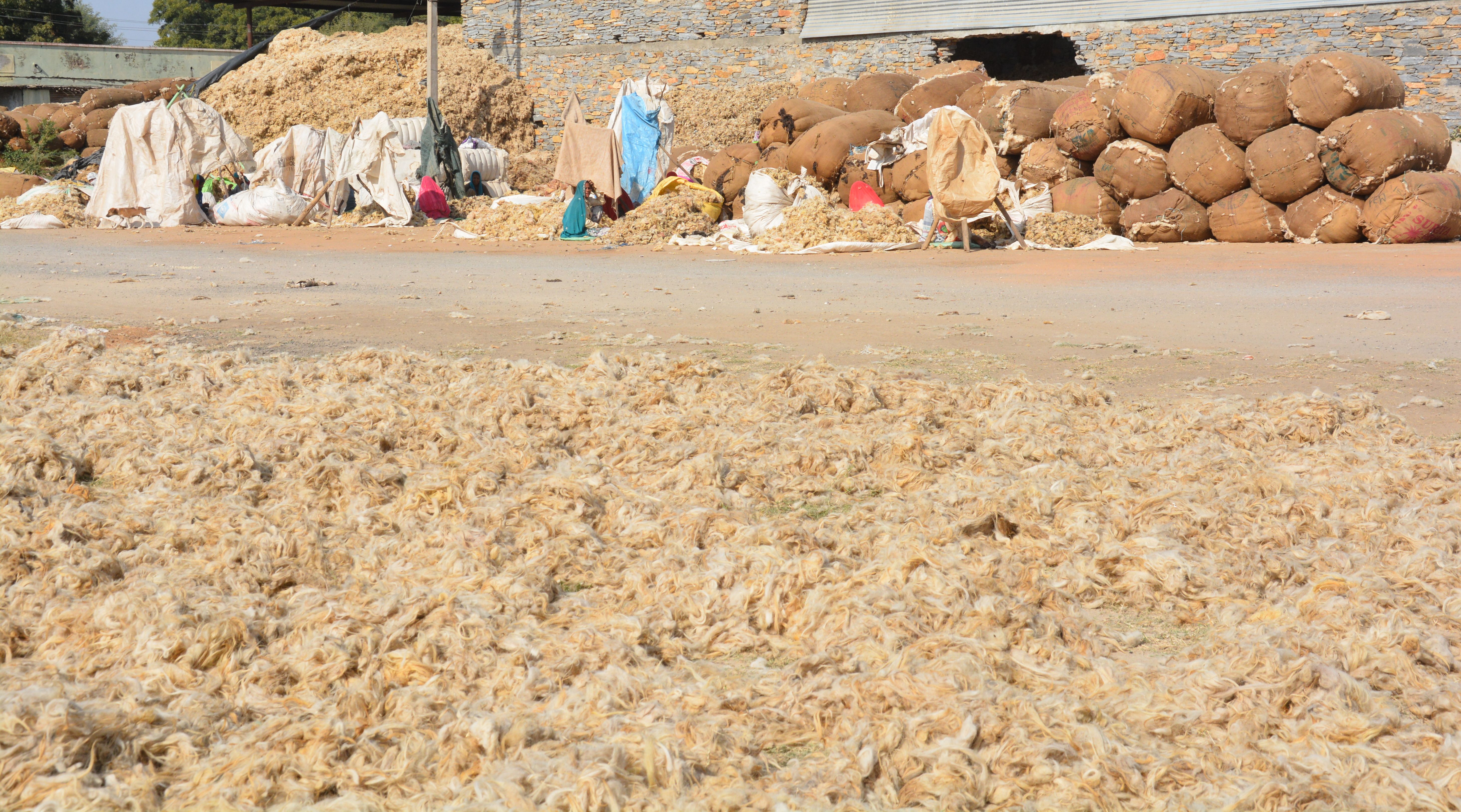 woolen market : china wool captured the local wool market wool market : चाइना वूल ने ठंडा किया देसी उन का कारोबार