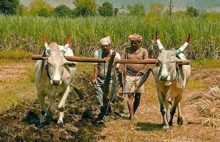 kisan ‘11 हजार किसानों का 28 करोड़ का कर्जा माफ, फिर से मिलने लगा है लोन’