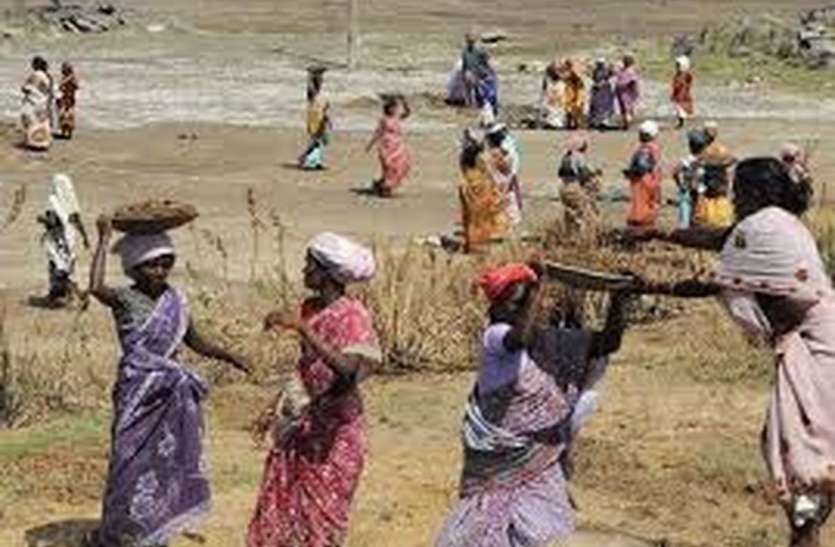 udaipur सरपंच ने देखे नरेगा कार्य, दिए निर्देश