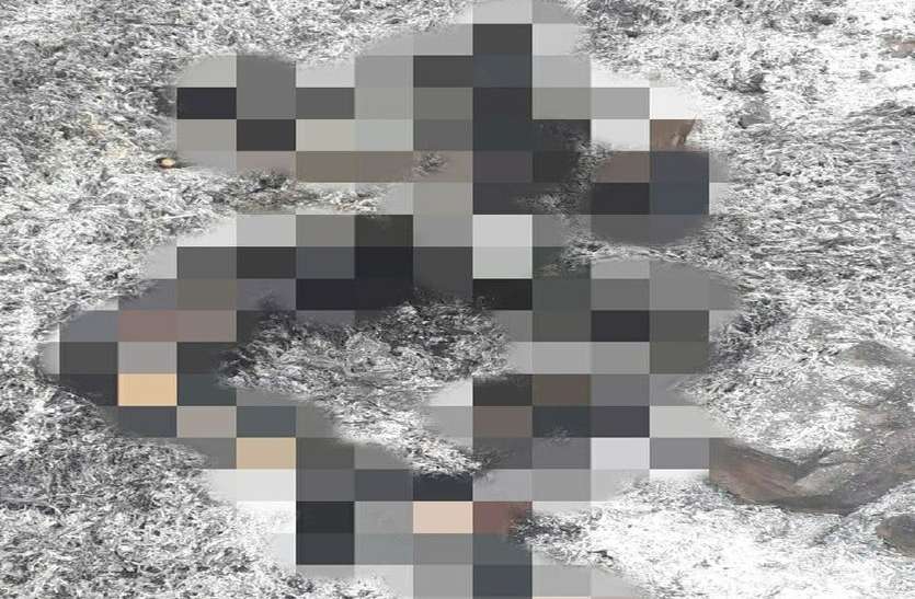 अधजला शव (फाइल फोटो) झारखंड में सड़क किनारे युवती का अधजला शव बरामद, गर्भवती होने की आशंका