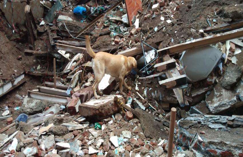 mumbai building collapse