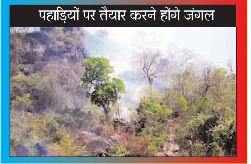 Plantation तेजी से कम क्यों हो रहे हैं शहर में पेड़?