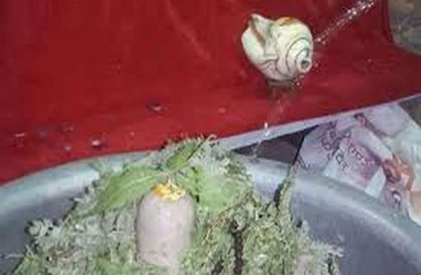 Poojan-Abhishek On The First Day Of Sawan बीकानेर के शिवालयों में रौनक, सावन के पहले दिन पूजन-अभिषेक