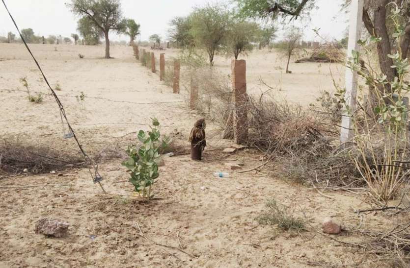 Theft for the fourth time on tube-well जैतसर में सरकारी नलकूप पर चोरों का चौथी बार धावा, पुलिस बेबस