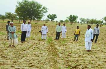 Locust attack in churu rajasthan from pakistan border पड़ोसी देश पाक सीमा पार कर राजस्थान में आई बड़ी मुसीबत, किसानों की उड़ी नींद