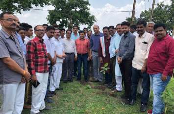 40 thousand plants planted in the district जिले में रोपित किए गए 40 हजार पौधे