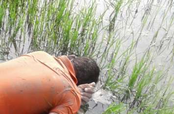 Death of a farmer from Current शाम तक घर नहीं लौटा पति तो पत्नी ने आसपास के लोगों से ढूंढऩे कहा, खेत जाकर देखा तो ग्रामीणों के उड़ गए होश