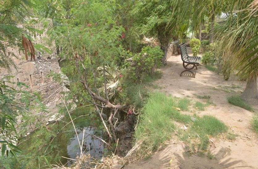 Greenery bumper, but missing facilities हरियाली भरपूर, पर सुविधाएं नदारद