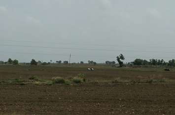 Damage to crops due to non-rain बढ़ते तापमान से मिट्टी की नमी होने लगी कम, बीजों को नुकसान