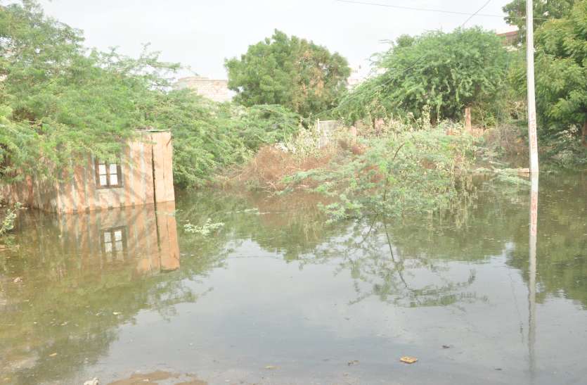 Drain water entered houses, it became difficult for people to get out घरों में घुसा नाले का गंदा पानी, लोगों का बाहर निकलना मुश्किल
