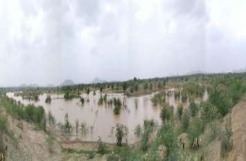 water pond : water comes in phul sagar pond water pond : लबालब होने को बेताब फूल सागर तालाब