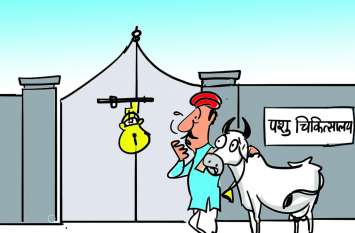 animals do not get treatment पशु चिकित्सालयों पर लगा ताला, पशुओं को नहीं मिल रहा उपचार