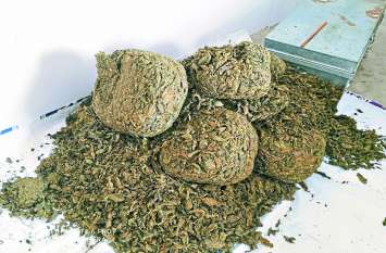 Police seized 350 kilo Ganja coming from Odisha in Chhattisgarh ओडिशा से आ रही ट्रक पर हुआ शक, जब ली तलाशी तो निकला इतना गांजा देखते ही दंग रह गई पुलिस
