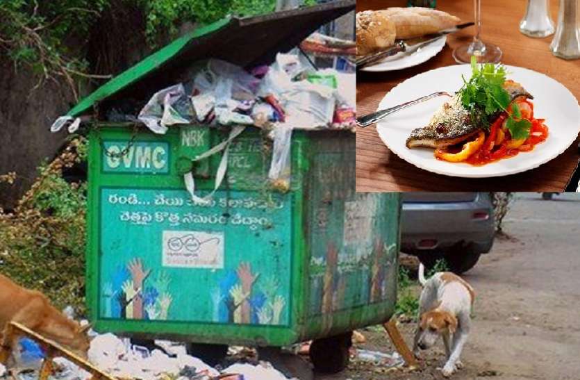 food OMG! यहां मिलेगा कचरे के बदले भरपेट खाना, जानें कैसे