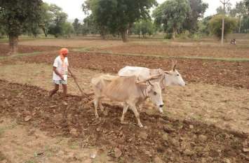 Bonnie in the backward district due to lack of rain बारिश के अभाव में पिछड़ रही जिले में बोनी