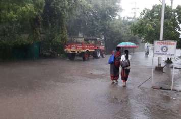 Rain after a fortnight Photo Gallery: एक पखवाड़े बाद बरसे बदरा, खरीफ फसल को मिला नया जीवन