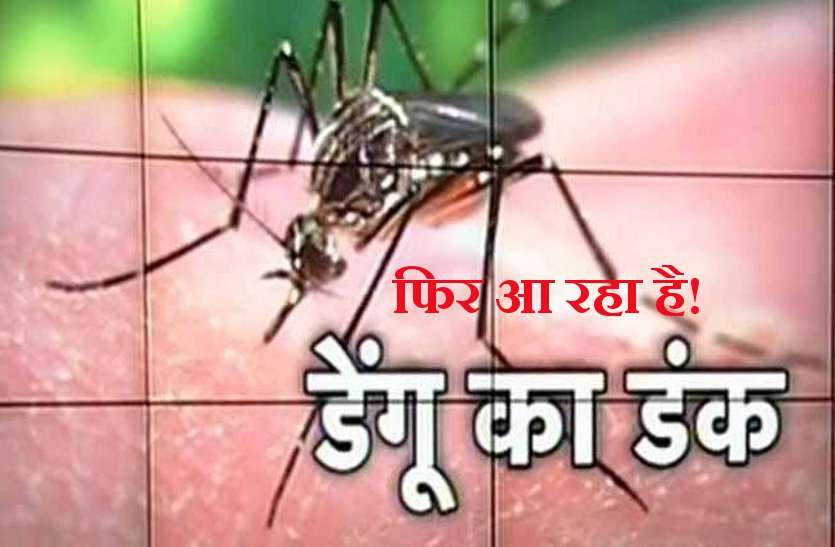 dangue बारिश के साथ पैर पसारेगा डेंगू और चिकनगुनिया! ऐसे करें अपना बचाव