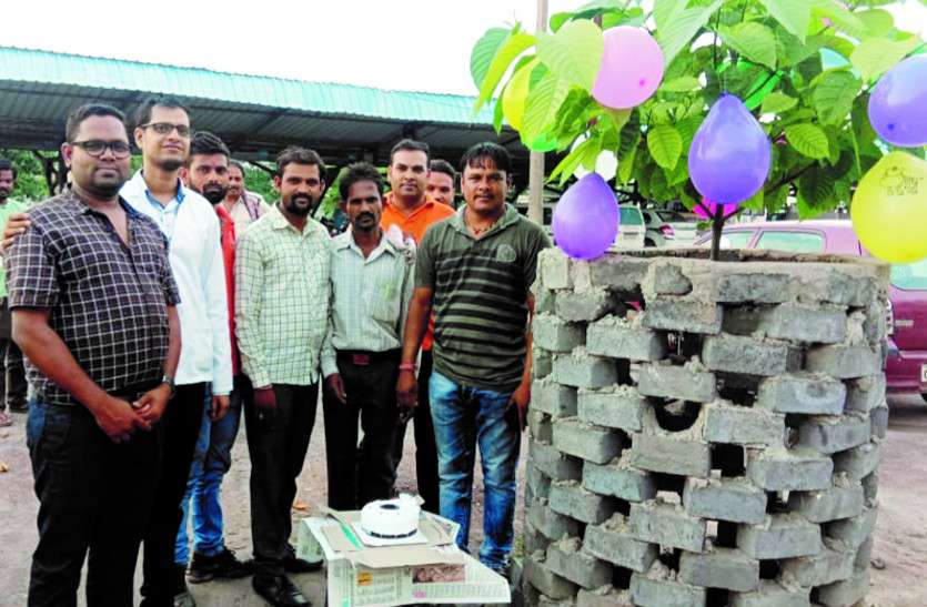 पहले पौधे लगाए, जब एक साल का हुआ तो केक काटकर मनाया बर्थ-डे, पूजा-पाठ कर बांटी गई मिठाइयां, ये भी रहा खास... पहले पौधे लगाए, जब एक साल का हुआ तो केक काटकर मनाया बर्थ-डे, पूजा-पाठ कर बांटी गई मिठाइयां, ये भी रहा खास...