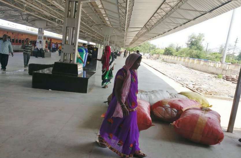 Kamyani Express was under way in Tenduptta smuggling तेंदूपत्ता की अवैध तस्करी में स्टेशन प्रबंधक दो घंटे करते रहे वन अमले का इंतजार, डीएफओ ने नहीं उठाया फोन, तस्करों को डब्ल्यूटी बनाकर छोड़ा