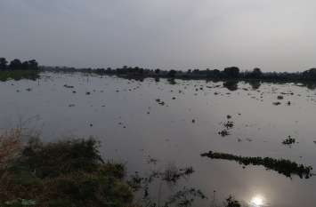 The maintenance of the embankments in the Ghagghar downstream area घग्घर बहाव क्षेत्र के तटबंधों का हों रखरखाव