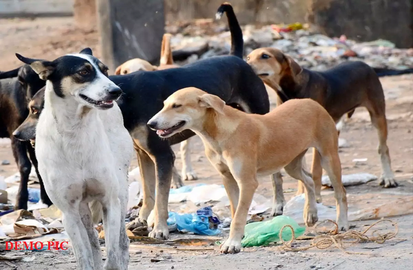 hotels serving dog meat as mutton