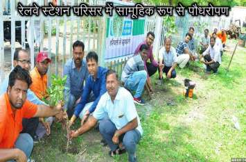 Raising the plant is like raising a son पौधे को बड़ा करना पुत्र पालने के समान