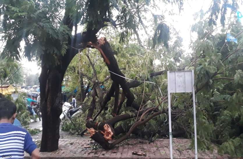 cg news बारिश से बचने पेड़ के नीचे खड़ा था बुजुर्ग, अचानक आसमान से आई ऐसी आफत और हो गई मौत