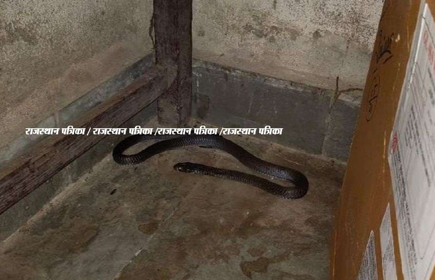 kota news