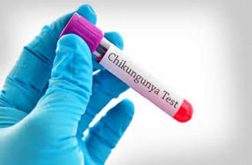 chikanguniya test