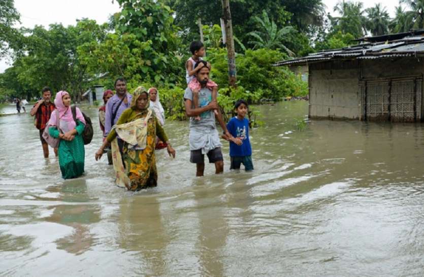 rats cause to flood in bihar बिहार में सैलाब ला सकता है ये नन्हा जीव! लोग परेशान