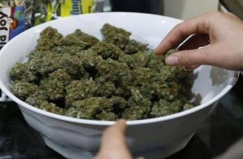 news,crime,Chennai,narcotics,arrest,seized,Tamilnadu,Special,ganja,control,Breaking,Bureau,Chennai news in hindi,Hindi News Paper, chennai news in hindi: कार में मिला 425 किलो गांजा