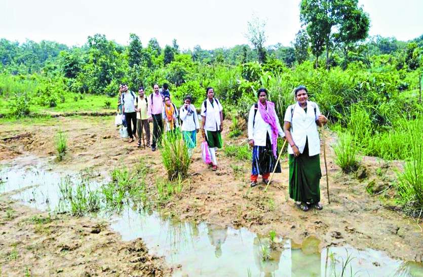cg news तीन दिनों तक पैदल 40 किमी चलकर किया सैकड़ों ग्रामीणों इलाज, बांटी गई दवाइयां